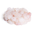 Tartare di Gambero