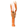 Scampi crudi prima scelta